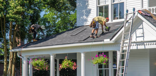 Best Roof Moss and Algae Removal  in West Union, OH